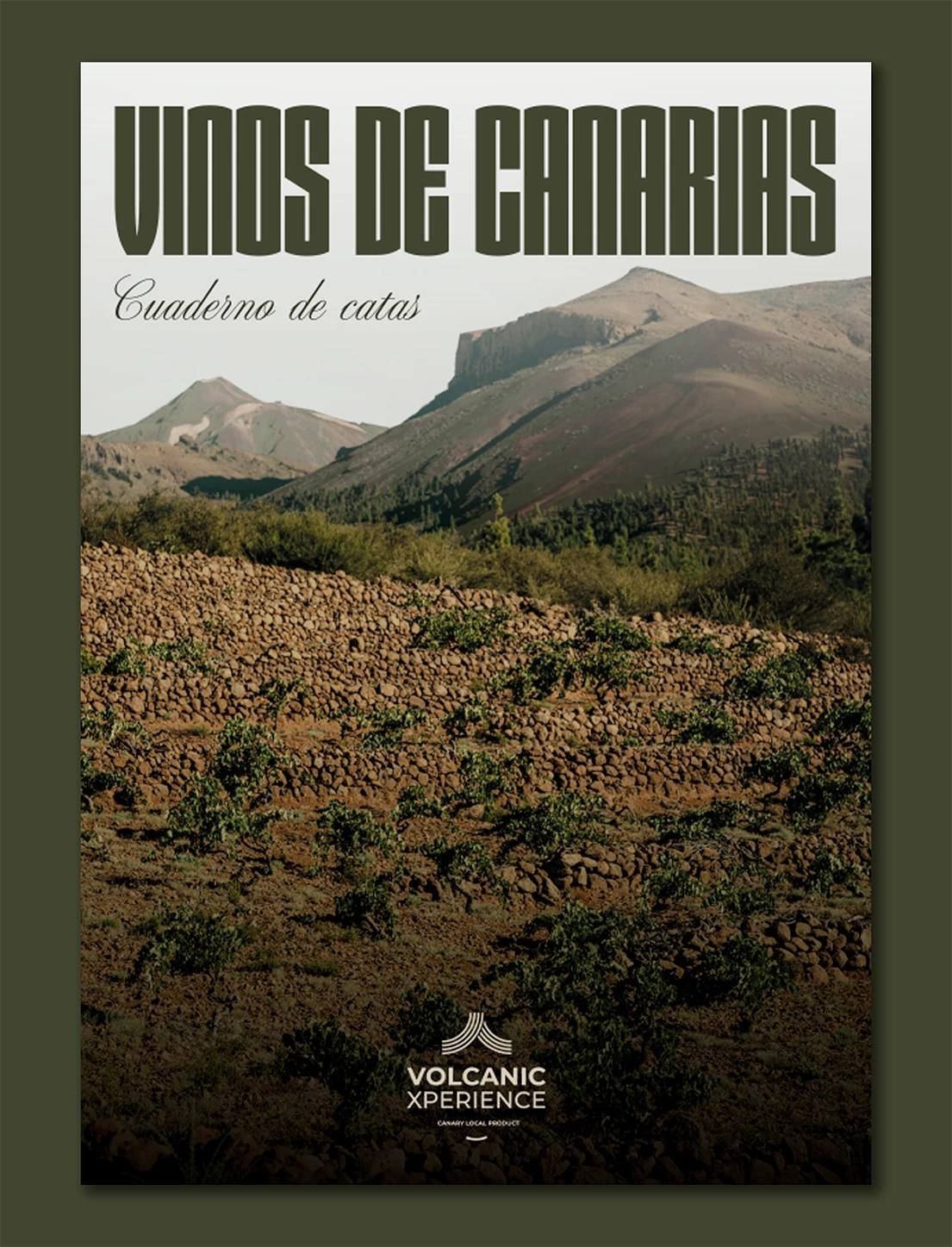 Cuaderno de Catas - Proyecto de branding y diseño gráfico