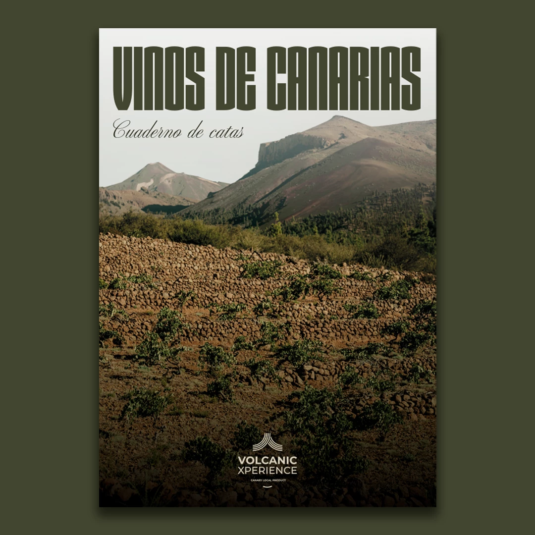 Cuaderno de Catas - Proyecto de branding y diseño gráfico